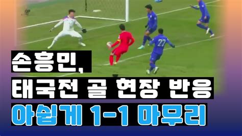 손흥민 태국전 골 현장 반응 손흥민 축구국가대표팀 태국 황선홍 이강인 뉴스24tv Newstv Youtube