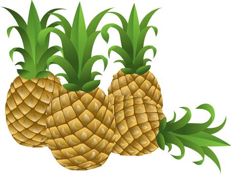 Gambar Ilustrasi Vektor Nanas Nanas Buah Nanas Kartun