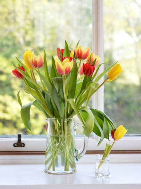 30 Tupils Stock Photos Pictures And Royalty Free Images Istock