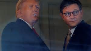 Hollywood is buzzing over the don johnson and reunion rumors 18