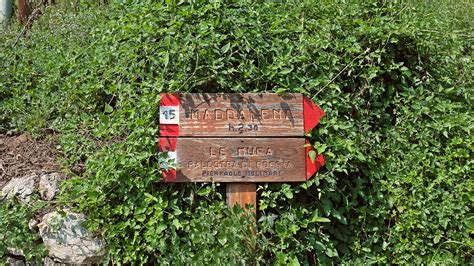 Sentiero Sentieri Curiosit Informazioni Sul Monte Maddalena Brescia