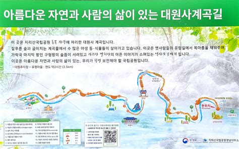 daum