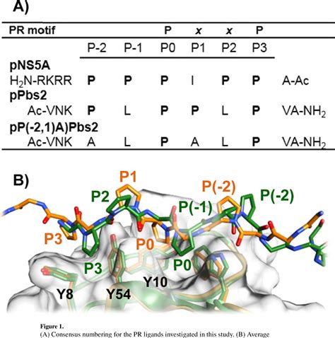 Figure 1 From Involvement Of Local Rapid Conformational Dynamics In