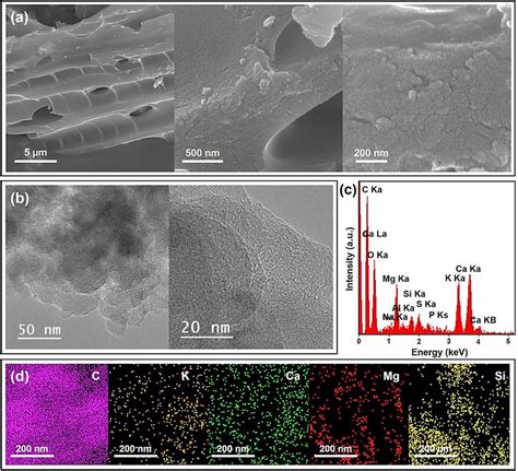 A Fe Sem B Tem And Hrtem Images C Edx Analysis And D Edx