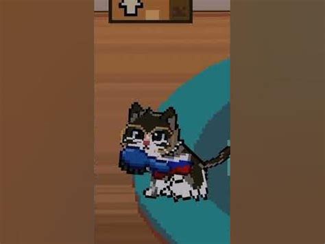как выглядит Котик лягушонок в стиле Pixel Petz #PixelPetz👾 - YouTube