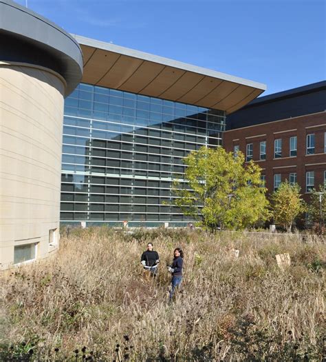 Check for extensions of the university of illinois urbana champaign application deadline 2