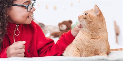 Cat Health Symptoms And Issues Advice From Cat Experts Purina Us