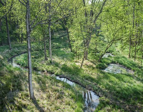 Wildlands Engineering Reedy Creek Stream Restoration Project