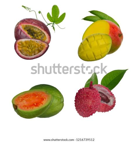 Mango Guava Passion Fruit Lychee Isolated 스톡 사진 1216739512 Shutterstock