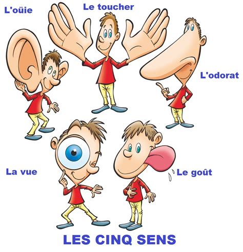 Les Cinq Sens En Francais