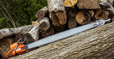 philadelphias  reforestation hub  upcycle fallen trees