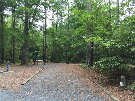 Badin Lake Campground (Uwharrie National Forest) | Campground Views