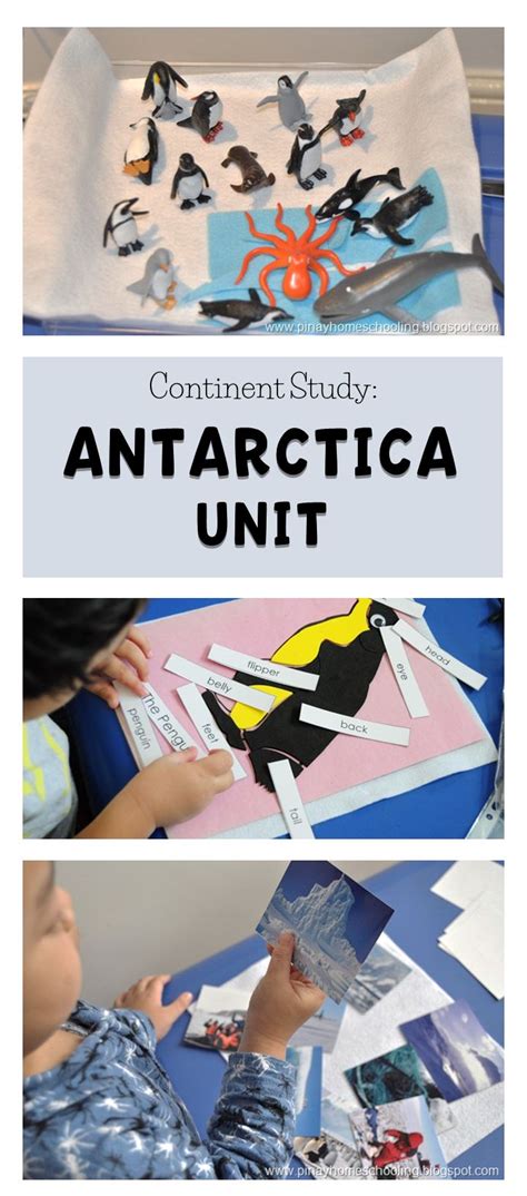 Continent Study Antarctica Unit Antarctica Activities Afterschool