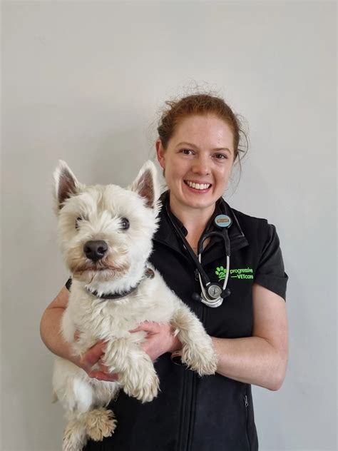 uc davis small animal clinic 1