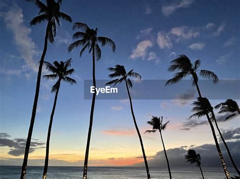 Tropical Climate 207781590 Beautiful Photography On EyeEm