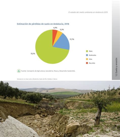 Page 43 IMA 2019 Informe de Medio Ambiente en Andalucía