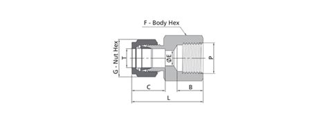 Female Connector Fitting Metric Tube X Iso Tapered Thread Rp