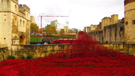 A Striking Sea of Red at Tower of London - Mapping Megan