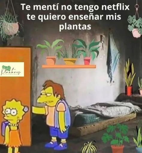 Te Ment No Tengo Netflix Te Quiero Ense Ar Mis Plantas Memes