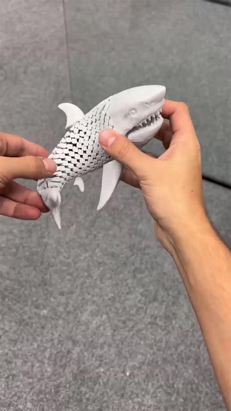 3d Printed White Shark Artofit