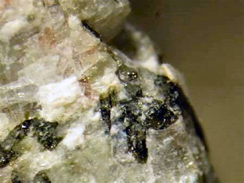 Natisite Image