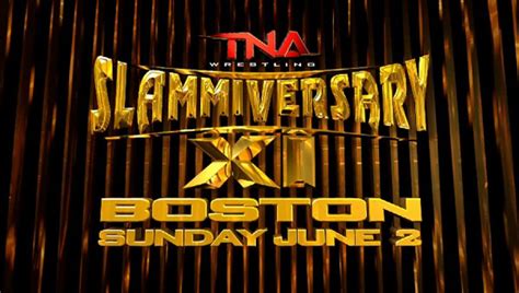 Tna Slammiversary 2024 Results Ferne Jennine