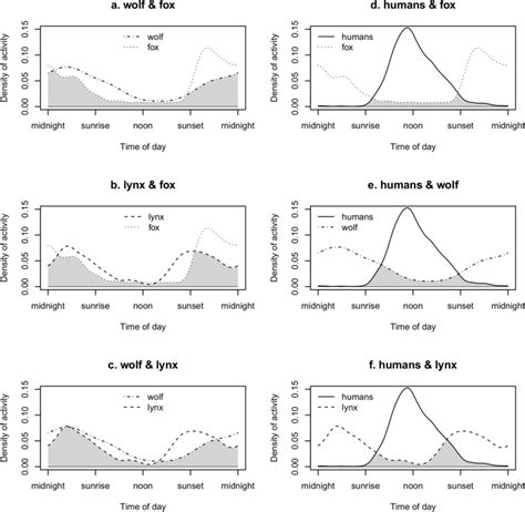 Temporal niche overlap (grey area) between carnivores and humans in