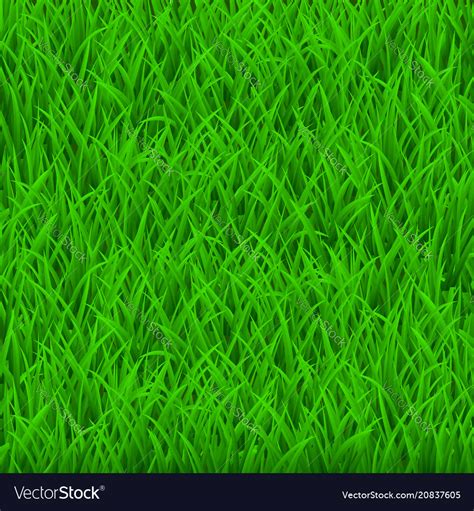 Background Green Grass Royalty Free Vector Image