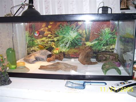 Best 7 Leopard Gecko Habitat/ Terrarium Review | MyPetCareJoy