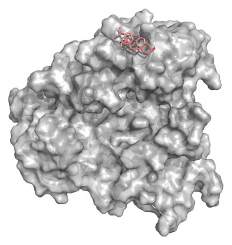 Cyp1b1 Beta Sitosterol Molecular Docking 3d Structures Of A