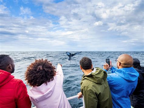 Top 25 - Tourism Nova Scotia