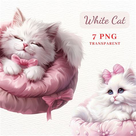 Fluffy Cat Clipart White Cats Png Clipart Bundle 7 High Quality Png Images Wall Art