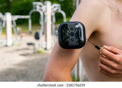 918 imágenes de Naked calf Imágenes fotos y vectores de stock Shutterstock