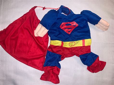 dog in superman costume 8