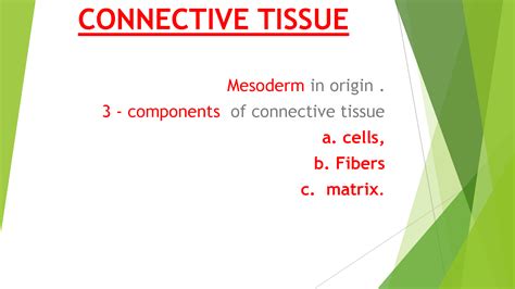 Solution Connective Tissue Ppt Studypool