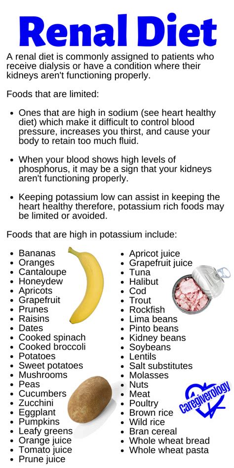 Diet Orders What Can Your Patient Eat Caregiverology