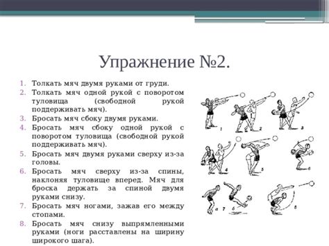 Комплекс упражнений для развития силы: рук и плечевого пояса, мышц ...