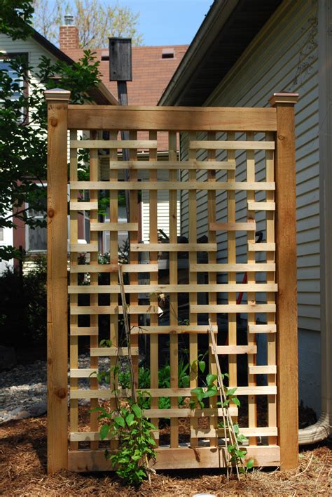 Lattice Wall Trellis Sheryknowledge