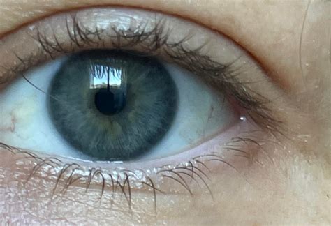 Is this grey or blue? : r/eyes