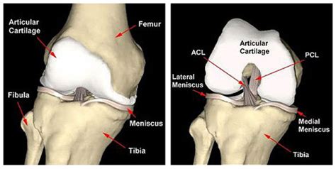 Knee Cartilage Injury | Knee Surgeon in Mumbai | Dr. Amyn Rajani