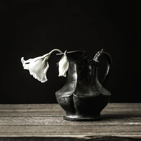 Study Of Light Photograph By Kim Hojnacki Pixels