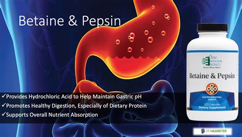 Betaine and Pepsin | Holistic & Functional Medicine for Chronic Disease