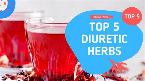 Herbs As A Diuretic At Luis Silva Blog