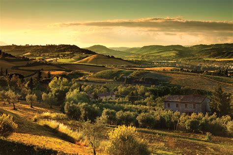 city tours truffle hunts wine tours farm  table tours  love umbria