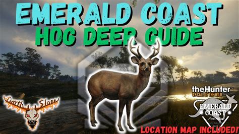 Hog Deer Guide Emerald Coast Hunter Call Of The Wild YouTube