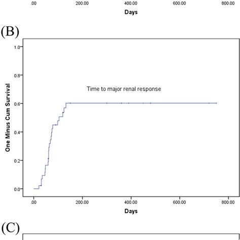 A Time To Renal Response For Ndmm Patients With Severe Renal