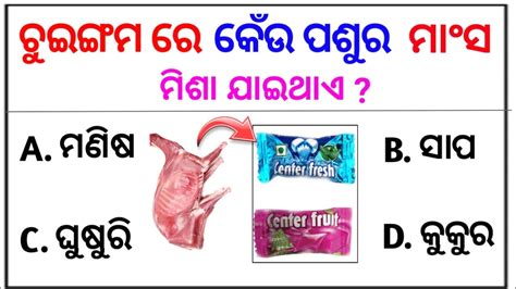 Odia Gk Gk Questions And Answers Odisha Gk Top Odia Gk