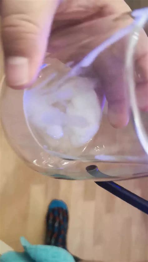 I Jerk Off My Horny Roommate Boy German Gay Amateur Porn XHamster