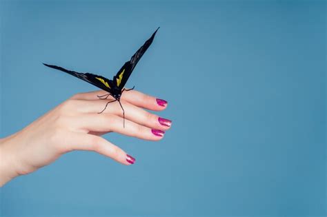Premium Photo Beautiful Nude Woman On Blue Background Girl And A Beautiful Butterfly