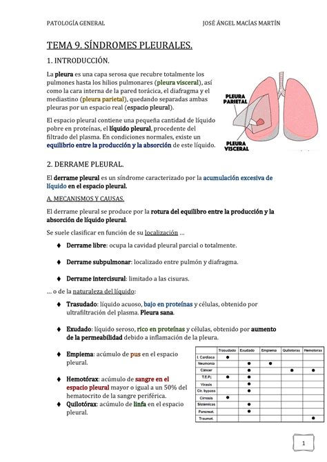 TEMA 9 Síndromes Pleurales Warning TT undefined function 32 TEMA